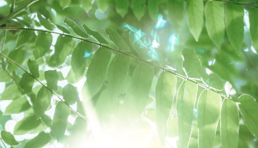 Durham University: developing the Health@Durham strategy